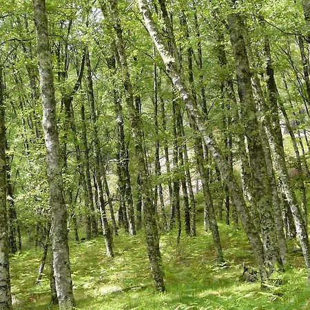 招待所 Horizonte Do