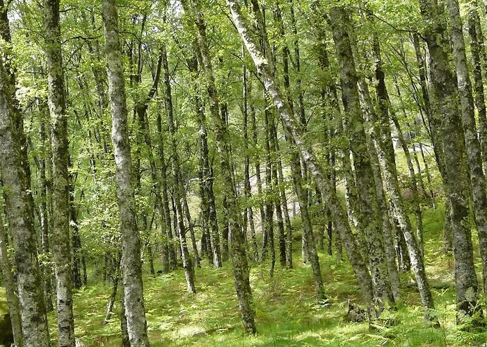 招待所 Horizonte Do